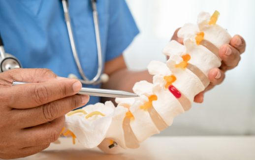 Discseel Jordan Sudberg